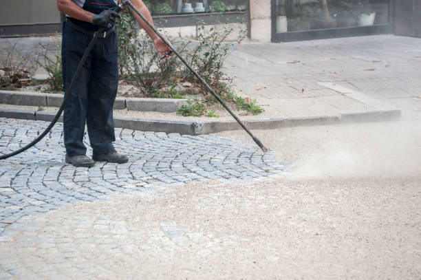 Best Driveway Cleaning and Restoration in Trenton, MO
